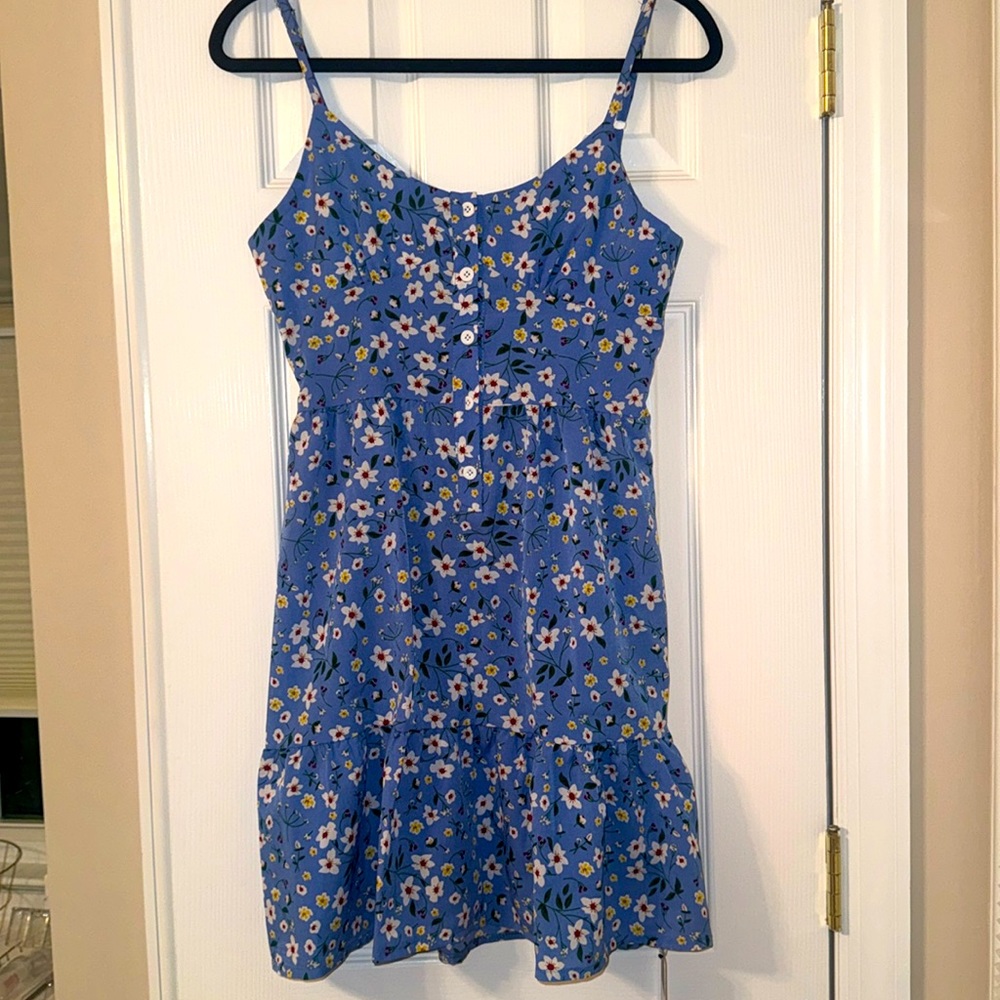 Blue and Multicolor Floral Dress